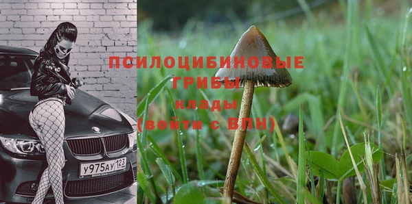 метадон Алексин