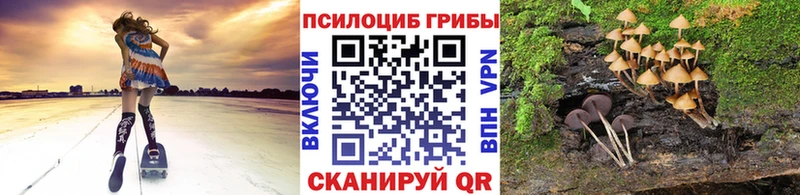 Псилоцибиновые грибы Magic Shrooms хочу Киржач